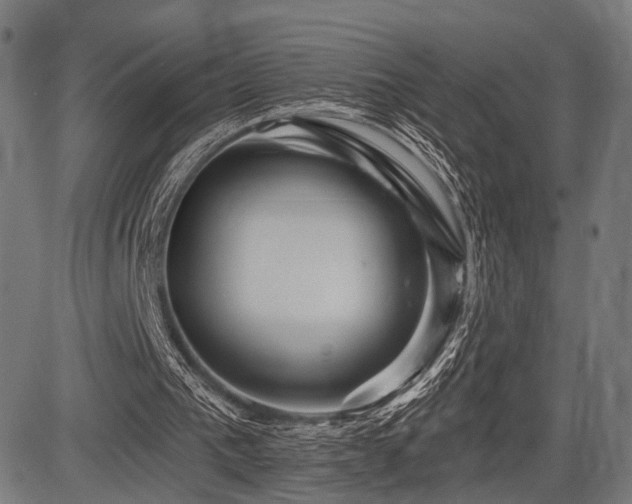 X0000083610193200702121124