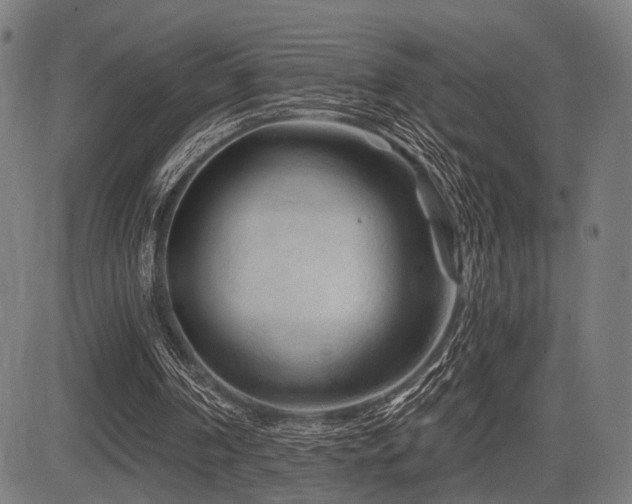 X0000083610194200702121124