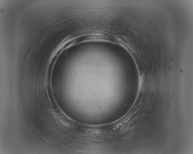 X0000083610195200702121124