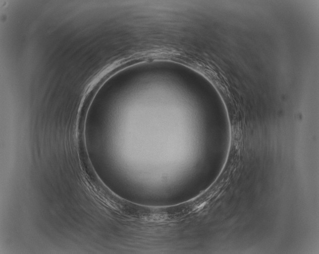 X0000083610196200702121124