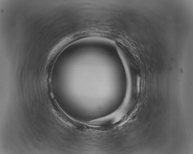 X0000083610197200702121124