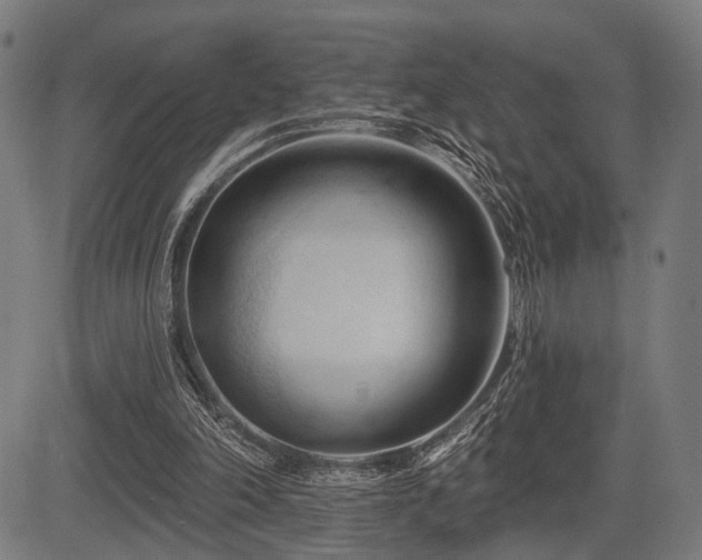 X0000083610198200702121124