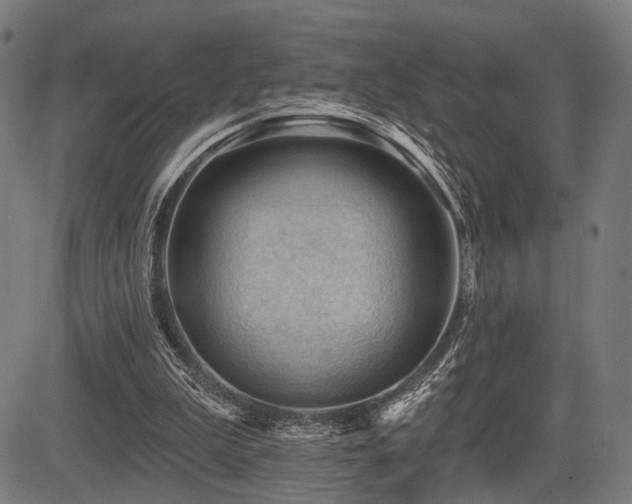 X0000083610199200702121124