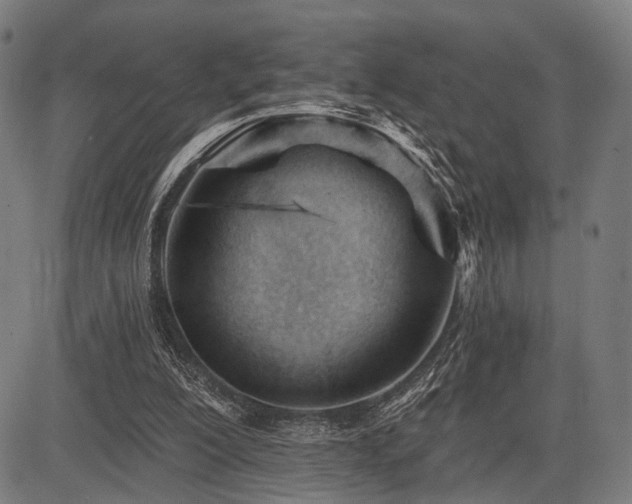 X0000083610200200702121124