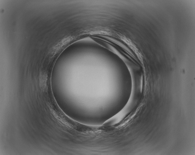 X0000083610201200702121123