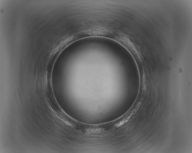 X0000083610202200702121123