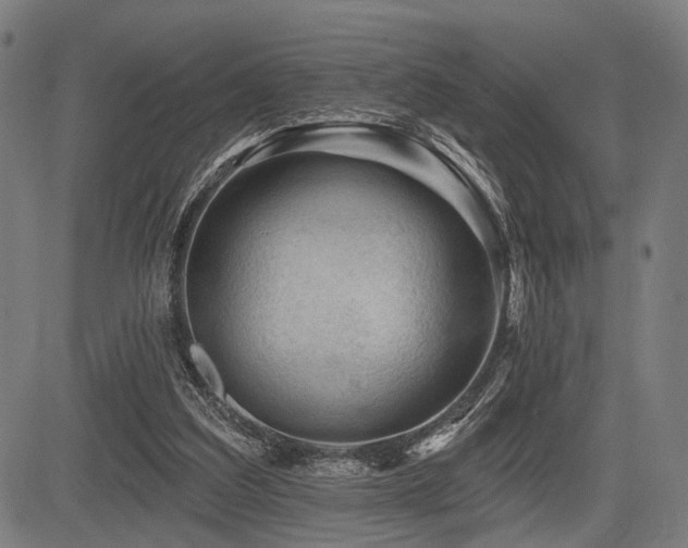 X0000083610203200702121123