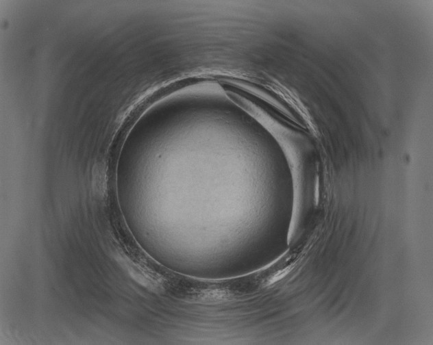 X0000083610204200702121123