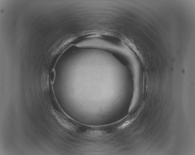 X0000083610205200702121123