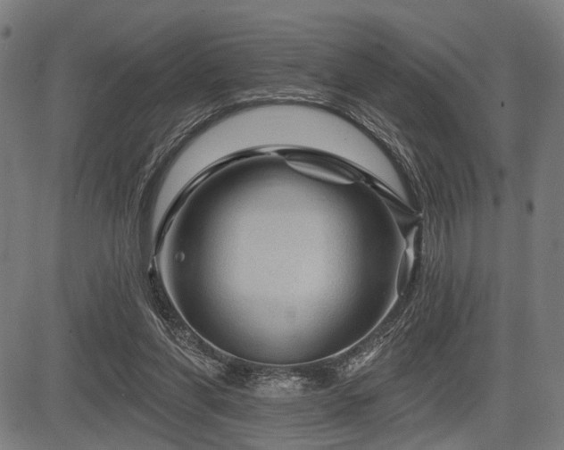 X0000083610206200702121123