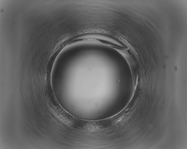 X0000083610207200702121123