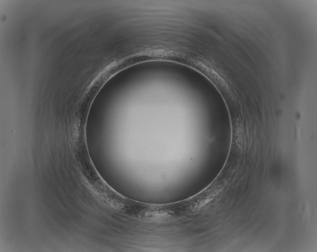 X0000083610208200702121123