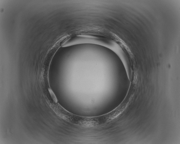 X0000083610209200702121123