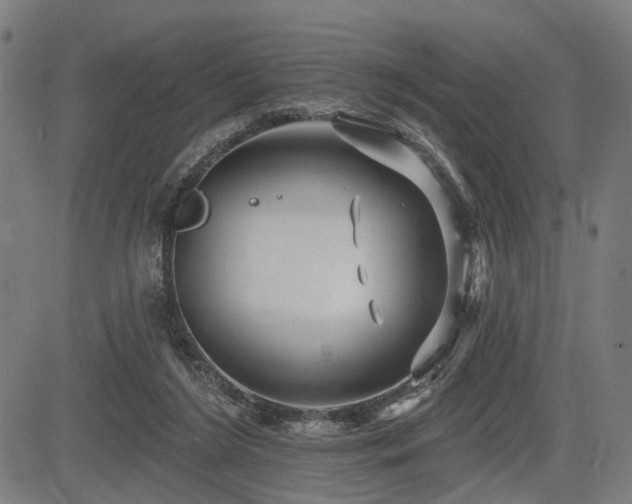 X0000083610212200702121123