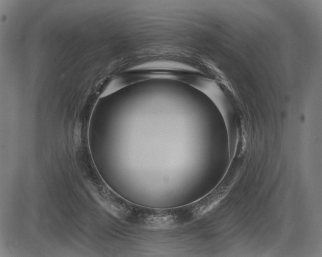 X0000083610213200702121123