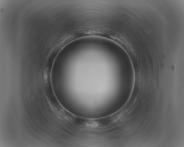 X0000083610214200702121123