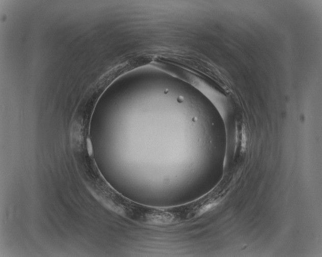 X0000083610215200702121123