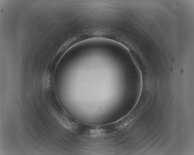 X0000083610216200702121123