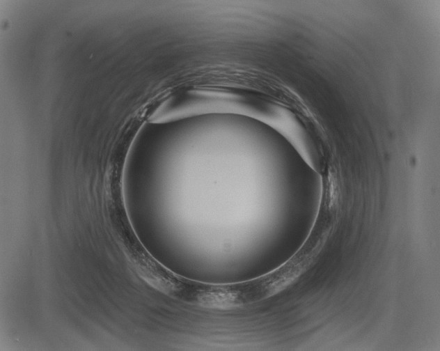 X0000083610217200702121123