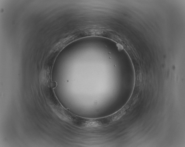 X0000083610218200702121123