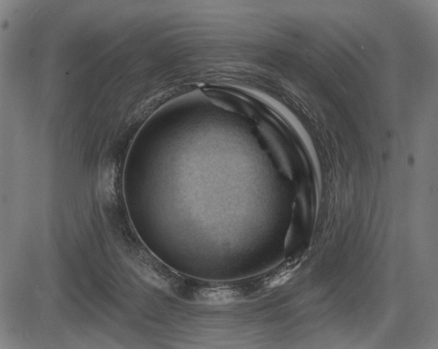 X0000083610219200702121123