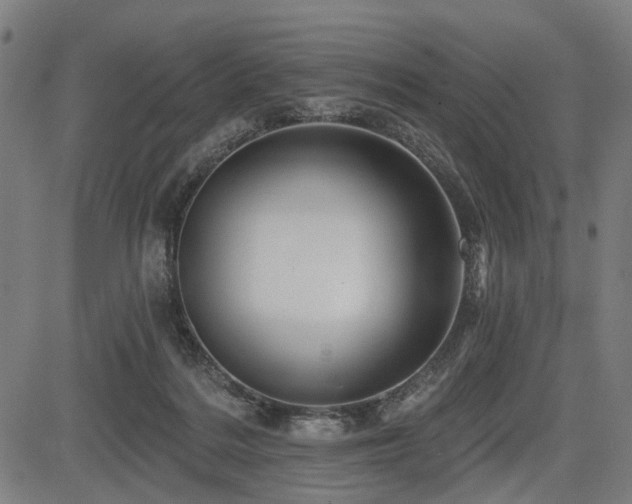 X0000083610220200702121123