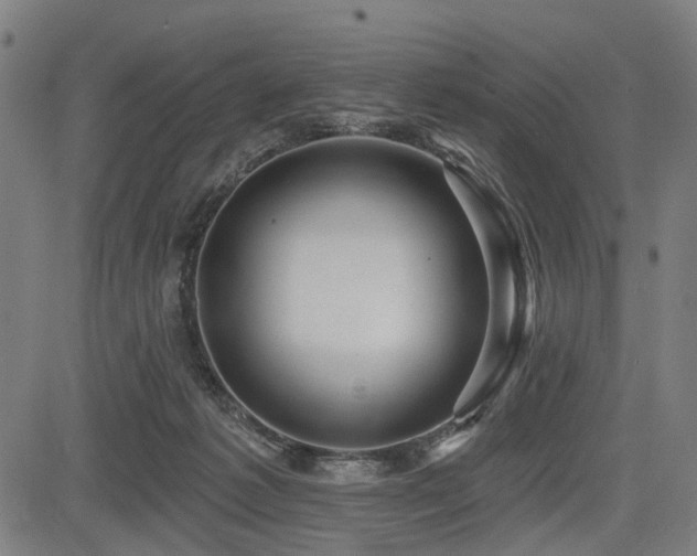 X0000083610221200702121123