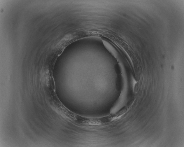 X0000083610223200702121123