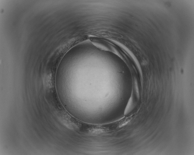 X0000083610224200702121123