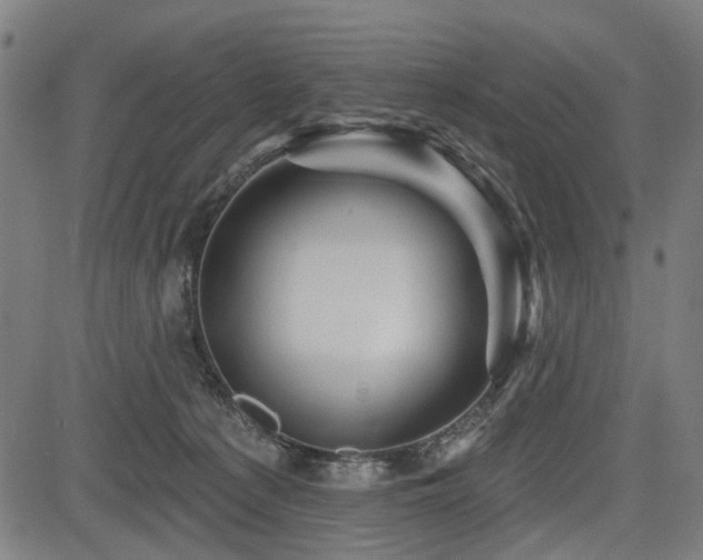 X0000083610225200702121123