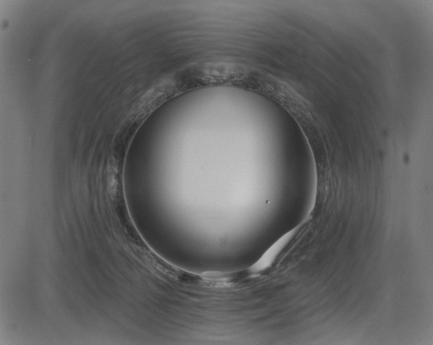 X0000083610226200702121123