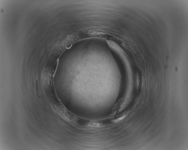 X0000083610227200702121123