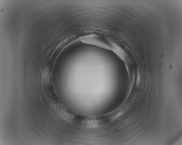 X0000083610228200702121123