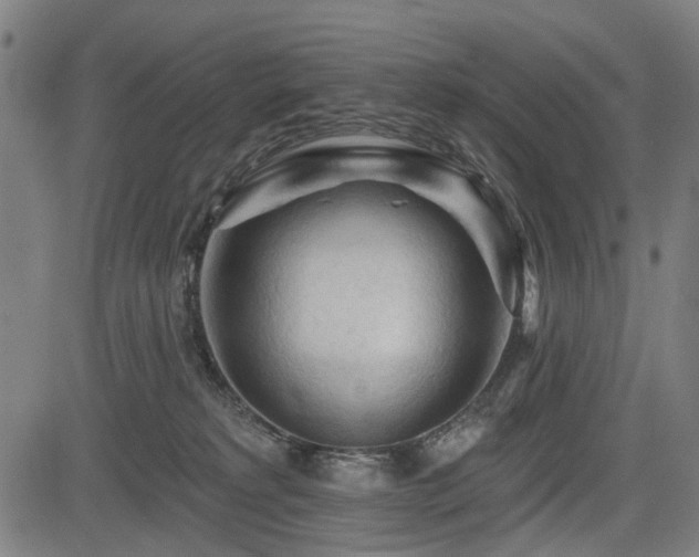 X0000083610229200702121123