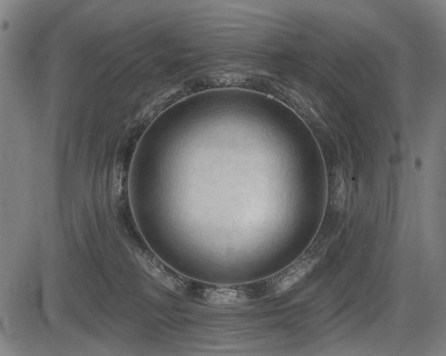 X0000083610230200702121123