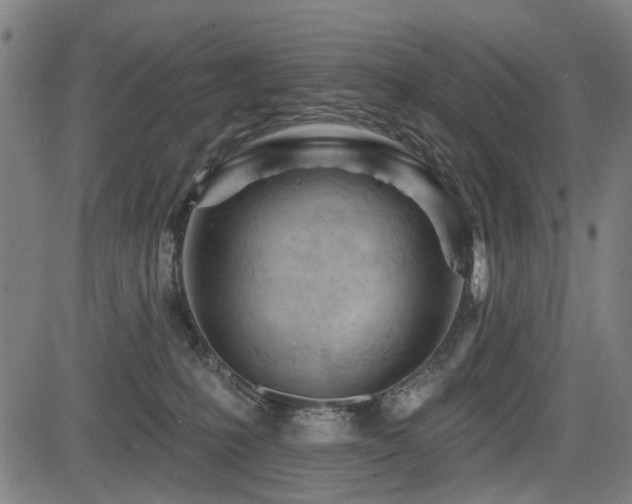 X0000083610231200702121123