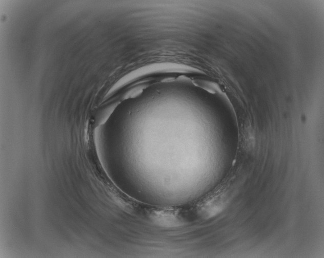 X0000083610232200702121123