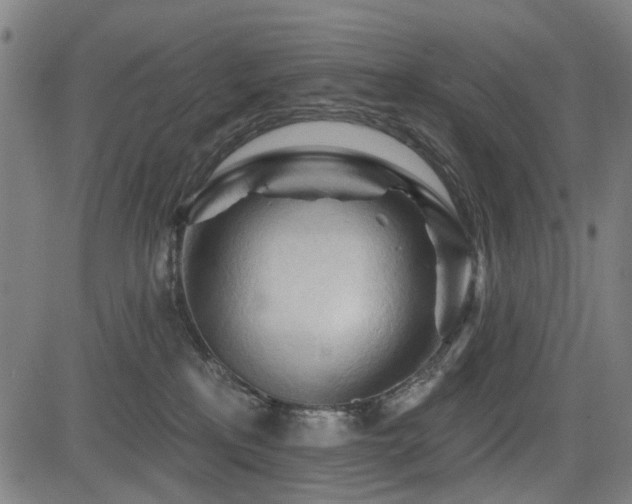 X0000083610233200702121123