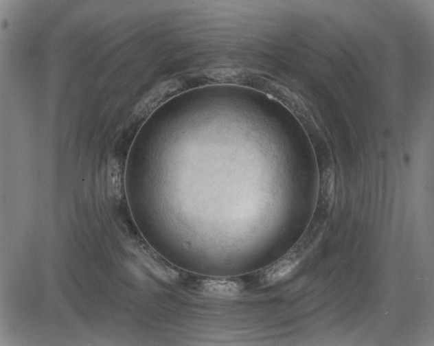 X0000083610234200702121123