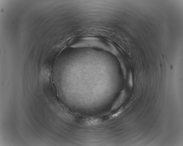 X0000083610235200702121123