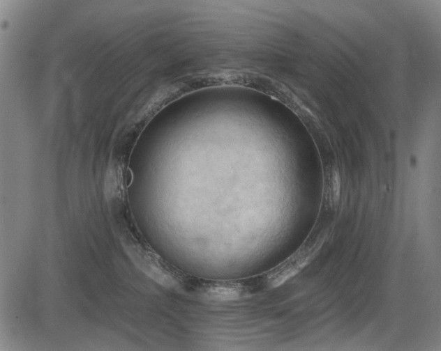 X0000083610236200702121123