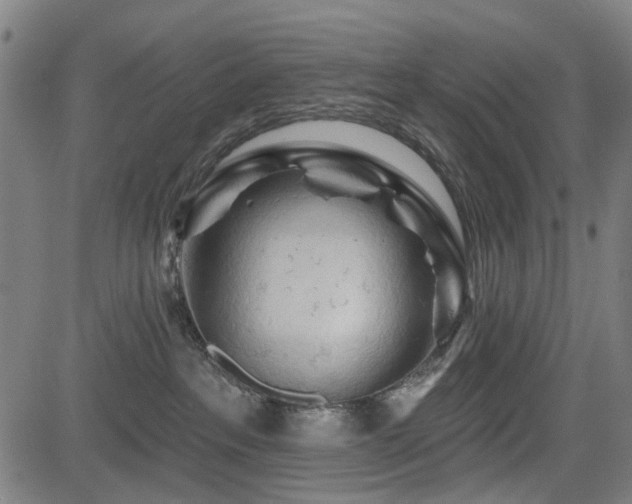 X0000083610237200702121123