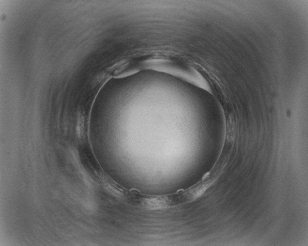 X0000083610238200702121123