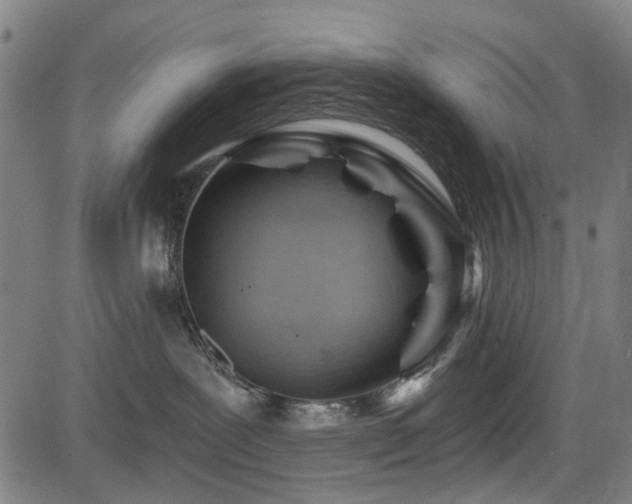 X0000083610239200702121123