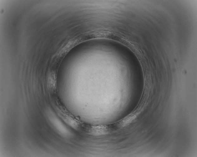 X0000083610240200702121123