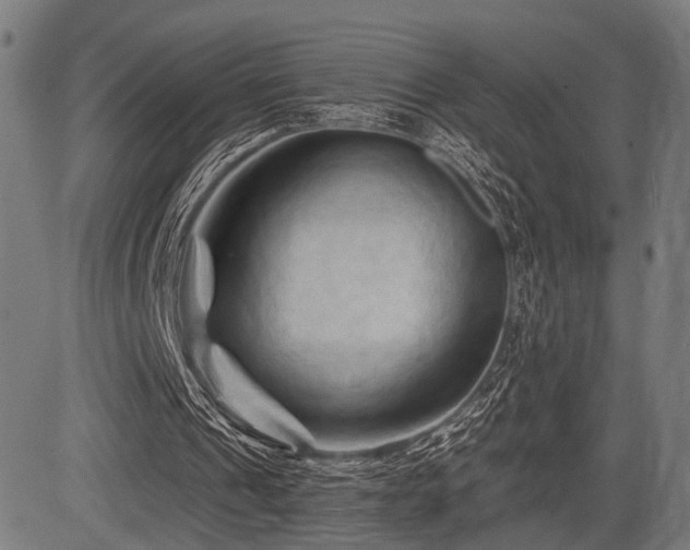 X0000083610241200702121122