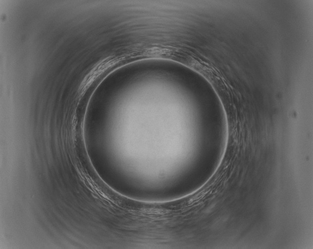 X0000083610242200702121122