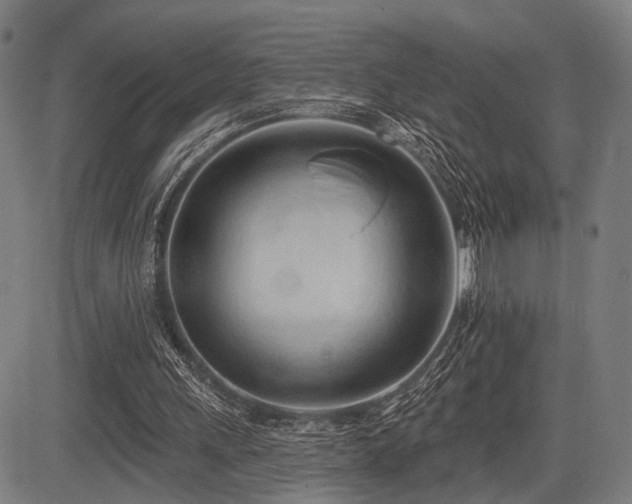 X0000083610243200702121122