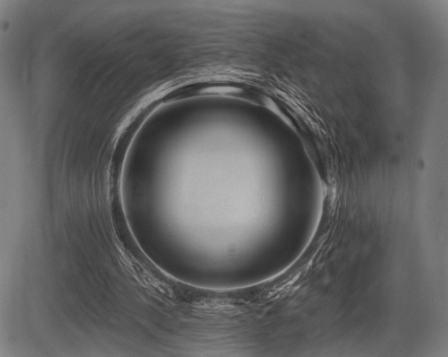 X0000083610244200702121122