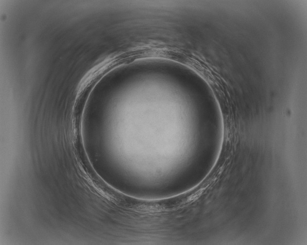 X0000083610245200702121122